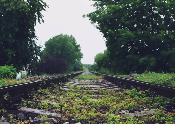 Крупный План Железнодорожного Пути Дождливый День Старый Железнодорожный Путь Который — стоковое фото