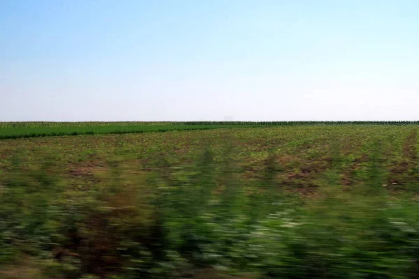 Campi Agricoli Visti Dal Finestrino Una Macchina Visione Offuscata Delle — Foto Stock