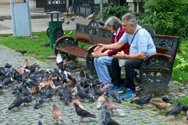 Bükreş, Romanya; 07 08 2018. Bankta güvercin besleyen emekli bir çift. Bükreş 'in merkezinde Romanya Atinası Bahçesi.
