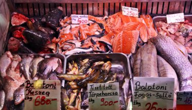 Macaristan 'ın Budapeşte kentindeki balık pazarında tatlı su balıkları.