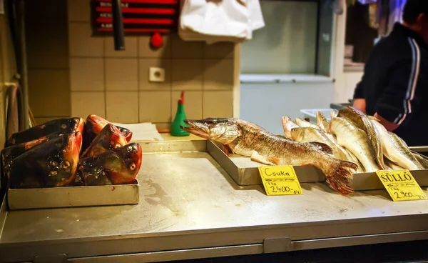 Süßwasserfische Auf Einem Fischmarkt Budapest Ungarn — Stockfoto