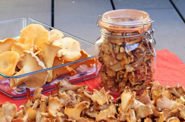 Kurutulmuş chanterelles, kurutulmuş chanterelles. Korunmuş Mantarlar.