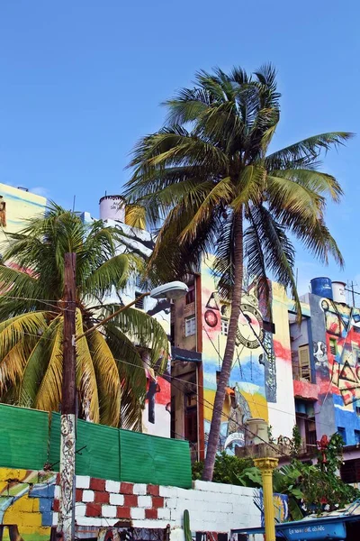 Havana Cuba 2012 Street Art Painted Decorated Walls Hamel Alley — Foto de Stock