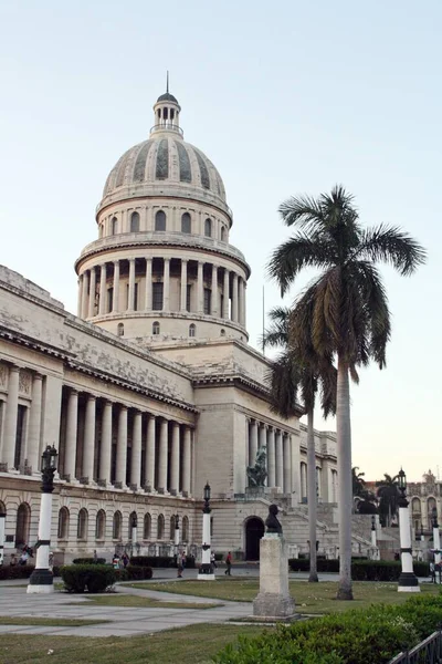 ハバナの首都とヤシの木 キューバ — ストック写真