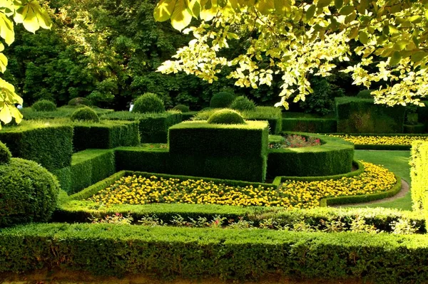 Arbusti Alberi Bellissimo Giardino Autunno Segovia Spagna — Foto Stock