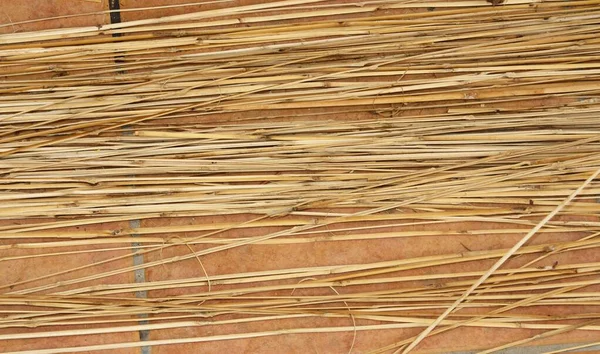 스페인 루시아의 카르데과 디아나에 전통적 사탕수수 수공예 바구니를 만드는 — 스톡 사진
