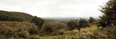 Tuscany 'de sonbaharın doğal manzarası (İtalya).