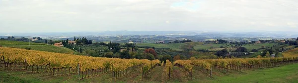 Panorámica Otoñal Zona Rural Toscana Italia Viñedos San Gimignano — Foto de Stock