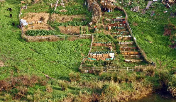 Pequeño Huerto Tradicional Para Cultivo Hortalizas Mertola Sur Portugal —  Fotos de Stock