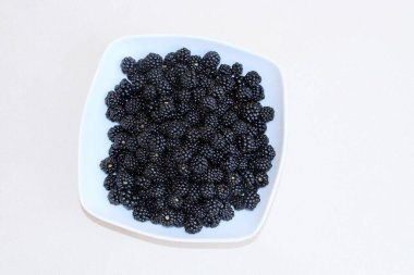 Yaban mersinleri taze toplandı ve yenmeye hazır. Bilinen ismin meyvesi elmleaf böğürtlen ya da dikensiz böğürtlen.