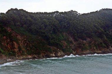 İspanya 'nın kuzeyinde orman ve Atlantik Okyanusu (Asturias).