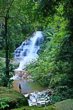Güzel ve harika şelaleler. Monthathan Chiang Mai, Tayland 'a düştü. Doi Suthep Ulusal Parkı.