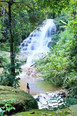 Güzel ve harika şelaleler. Monthathan Chiang Mai, Tayland 'a düştü. Doi Suthep Ulusal Parkı.