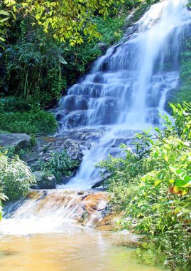 Güzel ve harika şelaleler. Monthathan Chiang Mai, Tayland 'a düştü. Doi Suthep Ulusal Parkı.