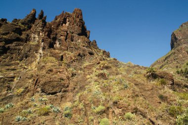 İspanya 'nın Kanarya Adaları, Tenerife adasının güneyindeki volkanik tepelerde doğa. Sarp dağlar ve derin vadilerle kayalık volkanik manzaralar.