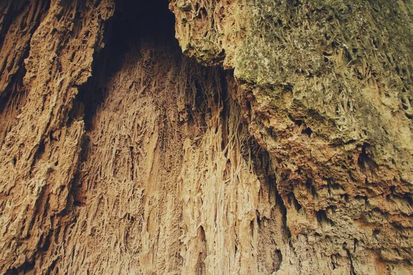 芸術家の洞窟内のトラバーチン ピエドーラ川によって生成される多くのカルスト現象があるモンスタステリオ ピエドーラ自然公園 Nuevalos サラゴサ スペイン — ストック写真