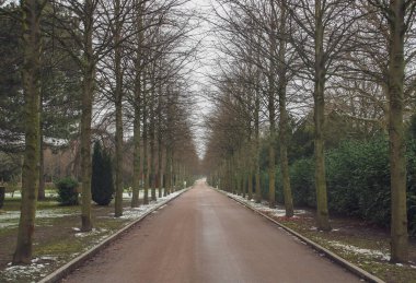 Kopenhag 'ın Batı Mezarlığı' nda kışın karanlık bir gün. Bahçedeki ağaçlar ve mezarlığın parkı arasındaki düz yol. Danimarka.