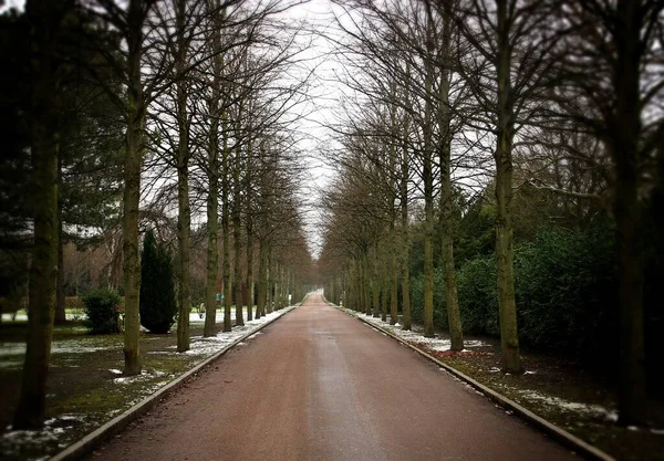 冬天是哥本哈根西部公墓的黑暗日子 在花园的树木和墓地的公园之间的一条笔直的小路 — 图库照片