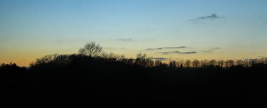 Gün batımında ağaçların ve kuşların siluetinin panoramik görüntüsü. Kopenhag 'da Vestre mezarlığında günbatımı (Danimarka).