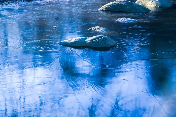 Stagno Ghiacciato Sndermarken Park Inverno Copenaghen Danimarca Acqua Ghiacciata Una — Foto Stock