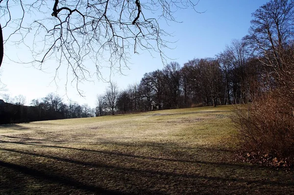 Sondermarken Park Inverno Copenhague Dinamarca Uma Grande Clareira Grama Entre — Fotografia de Stock