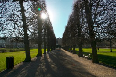 Ağaç düz yol çizgisi. Kongens 'in (Türkçe: 
