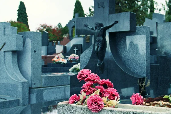 Flowers on a grave in the Fuencarral cemetery in Madrid, Spain. Close-up of some flowers deposited as an offering on a cold and rainy autumn day.