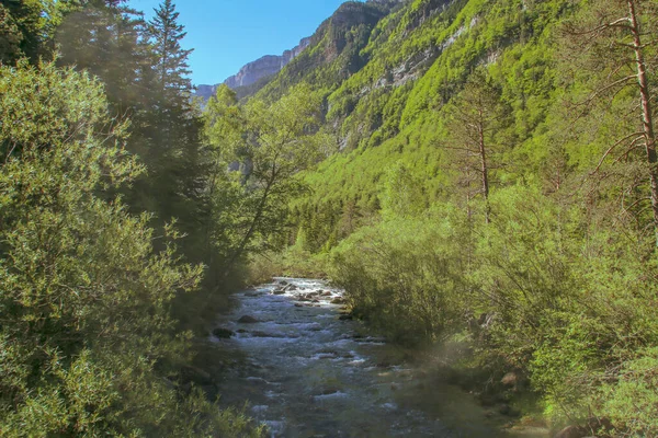 Arazas River Runs Forest Beautiful Ordesa Valley Huesca Spain Natural — Stock Photo, Image