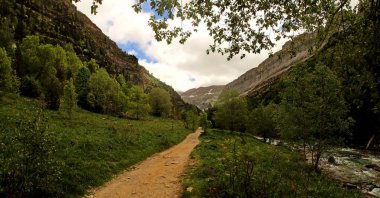Pireneler 'deki güzel Ordesa Vadisi' nin panoramik manzarası, Huesca, İspanya. Yazın başında dağın yamaçlarındaki çam ormanının güzel doğal manzarası..