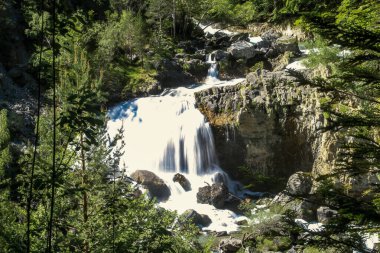 Ordesa Vadisi 'ndeki Arazas nehrinden gelen Arripas şelalesi, İspanyol Pireneleri, Huesca, İspanya. Yaz başında çam ormanlarının güzel doğal bir manzarası..