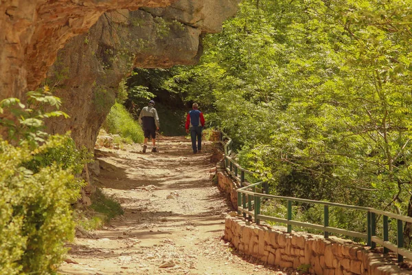 Caminhantes Trilha Caminhadas Belo Vale Ordesa Nos Pirinéus Huesca Espanha — Fotografia de Stock