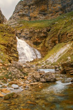 Atkuyruklu şelale Ordesa Vadisi 'nde, İspanyol Pireneleri, Huesca, İspanya. Arazas nehrinin kaynağının yakınındaki şelalenin güzel doğal bir manzarası. Yürüyüşçülerin çok ziyaret ettiği bir yer..