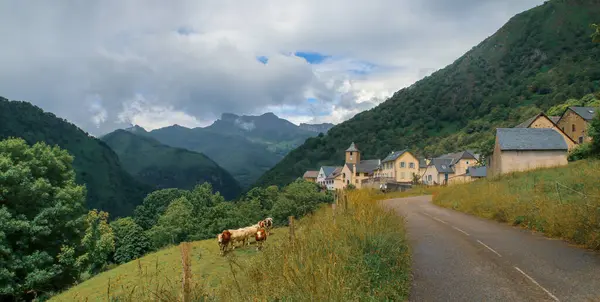 在比利牛斯的一个法国小村庄Cette Eygun的自然景观全景 背景是圣彼得教堂 — 图库照片