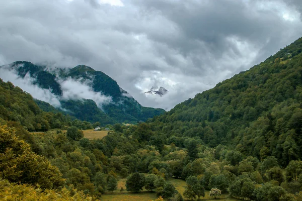 Widok Krajobraz Naturalny Północnej Części Pirenejów Borce Francja Piękna Zielona — Zdjęcie stockowe