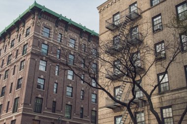 Tuğladan yapılmış binalar, tipik Brooklyn, New York, ABD. Sağda 91 Montague Caddesi ve solda 200 Hicks Caddesi. 2019 Sonbaharı.