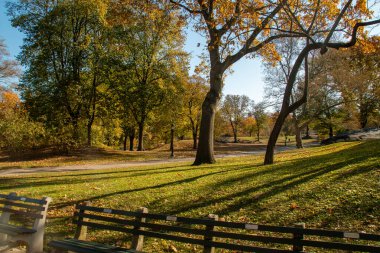 Sonbaharda New York, ABD 'de bir halk parkının manzarası. Central Park Bahçeleri. Central Park 'ta Dr. Dr. ve Dr. Terrace' ın kesiştiği yer..