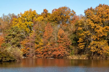 Göl kenarındaki sonbahar ağaçları. The Lake 'deki sonbahar ağaçları New York, ABD' deki Central Park 'taki Bethesda Fountain' dan görüldü. Kasım 2019.