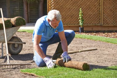 Gardener Laying Turf For New Lawn clipart