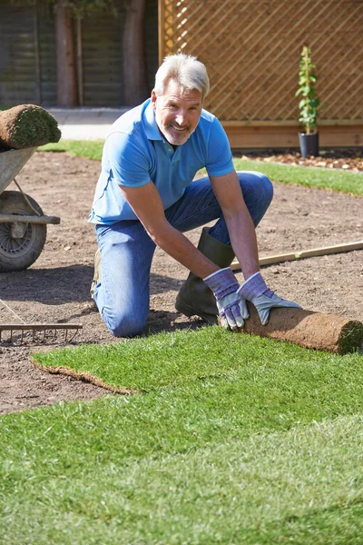 Paesaggio giardiniere posa tappeto erboso per nuovo prato — Foto Stock
