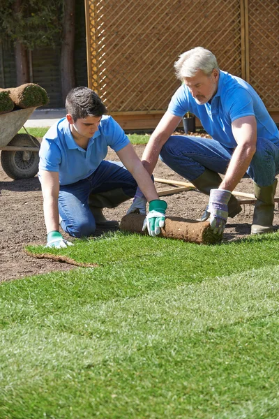 Paisajistas jardineros tendiendo césped para césped nuevo — Foto de Stock