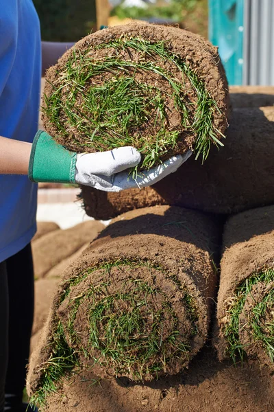 Close Up di paesaggio giardiniere posa tappeto erboso per il nuovo prato — Foto Stock