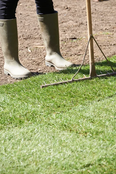 Close Up de jardineiro paisagem que coloca relva para o gramado novo — Fotografia de Stock