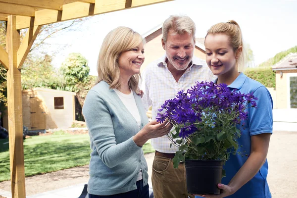 Liggande trädgårdsmästare äldre par att ge råd om trädgårdsväxter — Stockfoto