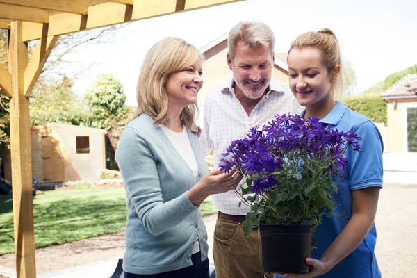 Giardiniere Paesaggio consigliare Coppia matura su piante da giardino — Foto Stock