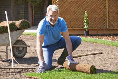 Landscape Gardener Laying Turf For New Lawn clipart