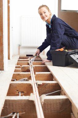 Merkezi Isıtma sistemi uygun kadın tesisatçı