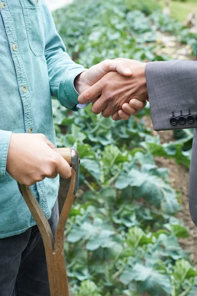 Agricultor e empresário apertando as mãos — Fotografia de Stock