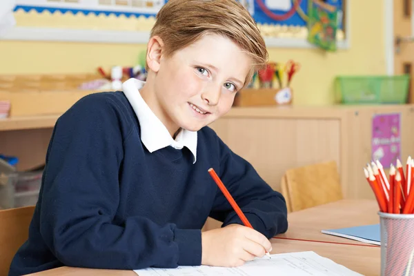 Aluno da escola primária masculina trabalhando na mesa — Fotografia de Stock