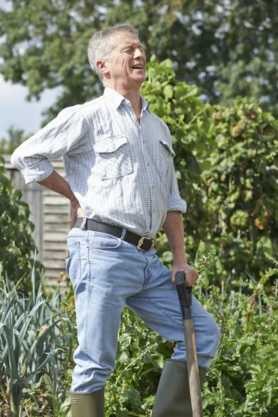 Uomo anziano che soffre di mal di schiena mentre fa giardinaggio — Foto Stock