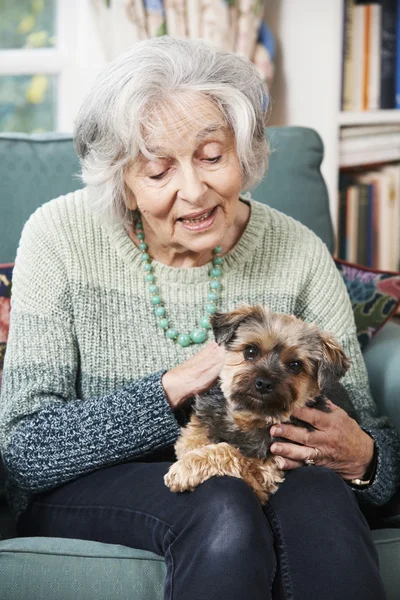 Senior mulher segurando cão de estimação dentro de casa — Fotografia de Stock